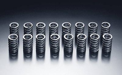 HKS - Up-Rated Valve Springs - Nissan SR20DET - 22001-AN002 - 22001-AN002