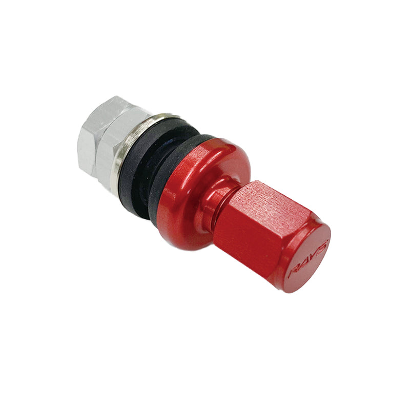 Rays - Inside Aluminum Air Valve Rays Rd - Rays-58 - RZCrewGarage