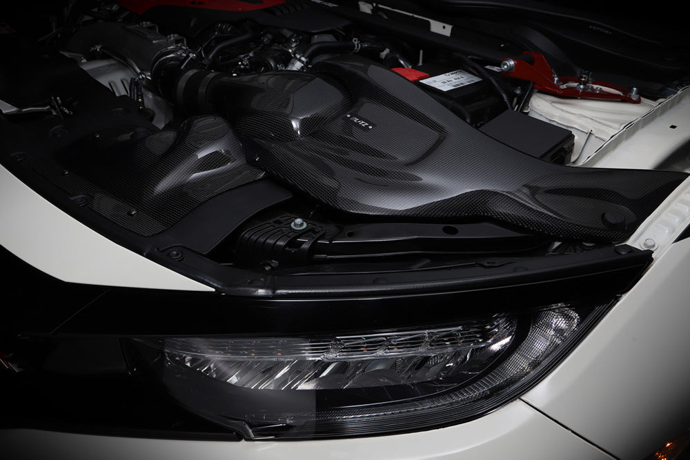 Blitz Carbon Intake System - Lexus - NX 200T AGZ10 - 27024
