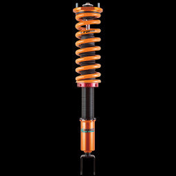 Aragosta Type ECoilover Kit - Nissan Skyline GT-R BNR32 - Pillow Ball Mount - N1.E1.000 - Rzcrewgarage