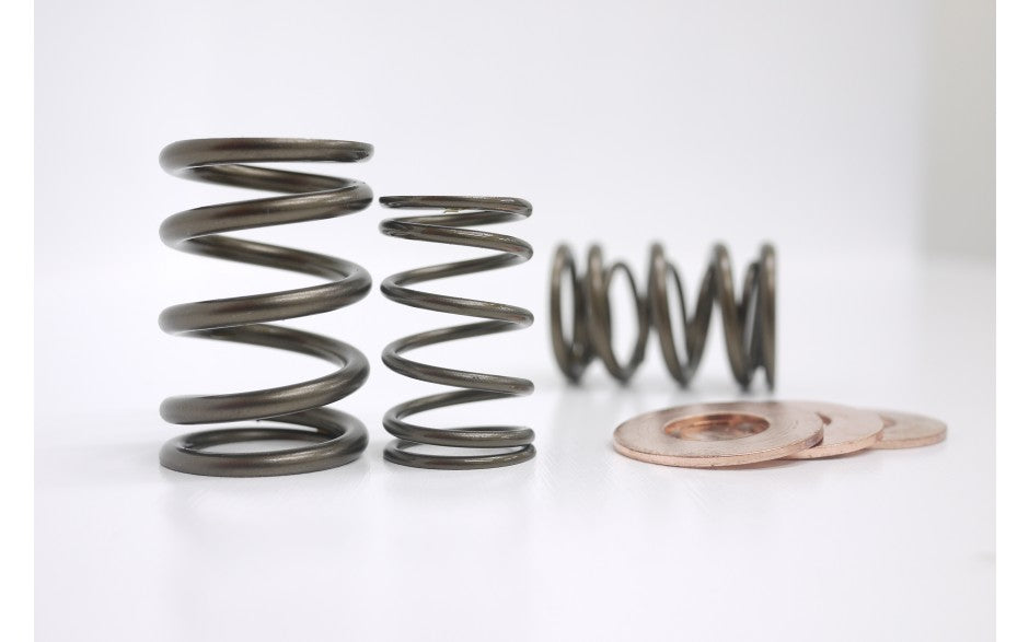 Kelford - KVS14D - High performance dual valve spring set - Nissan - A12 - KVS14D