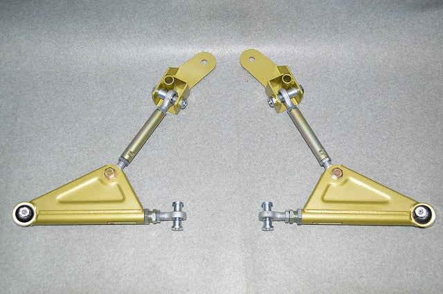 Ikeya Formula - Ikeya Formula - Front Adjuster Pillow Lower Arm Kit - Toyota - ZN6 - IFAE10004 - Rzcrewgarage