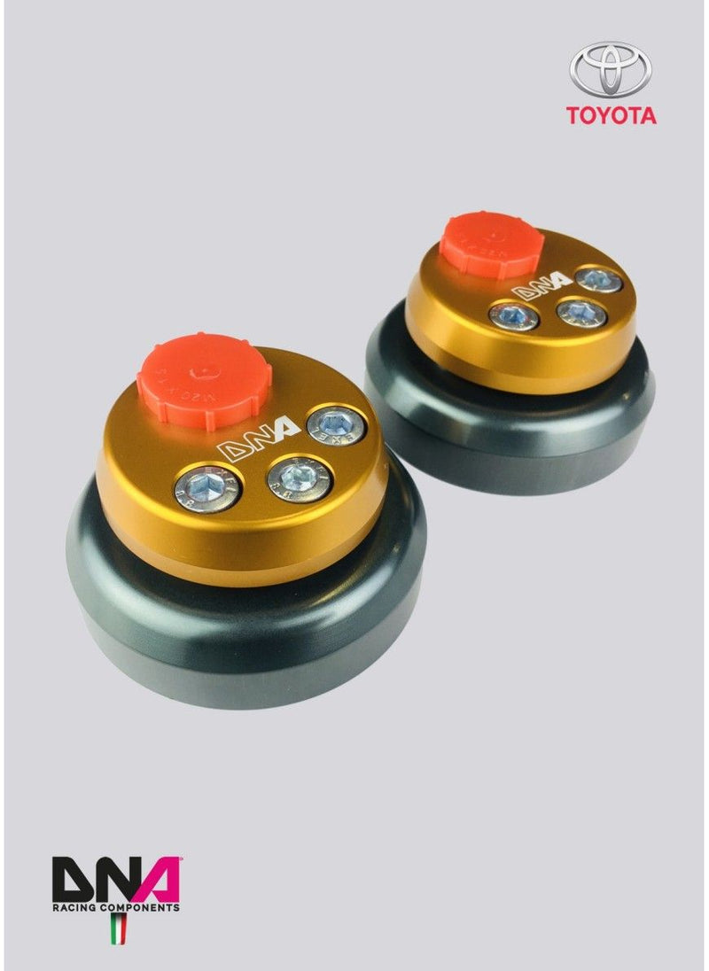 DNA Racing - DNA Racing - PC1600 - Rzcrewgarage