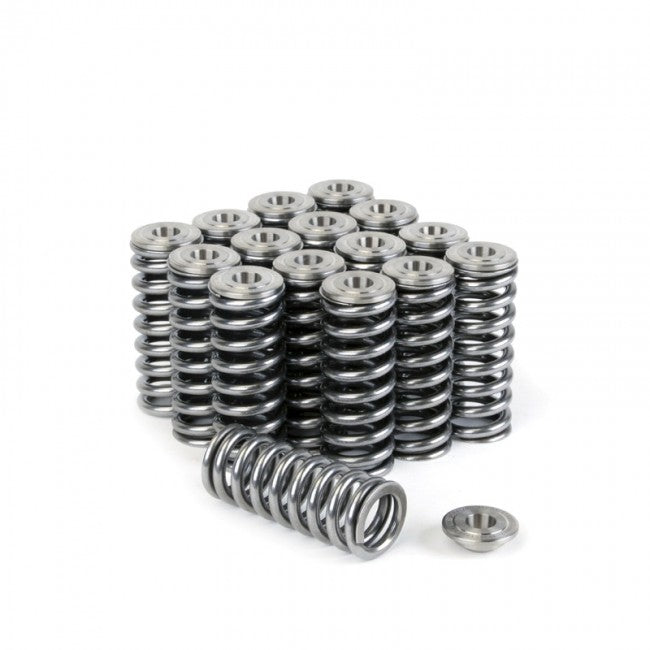 Skunk 2 - Alpha Valve Springs and Ti Valves Springs,Retainers Kit - Honda - D16Z6/Y8 - 344-05-1350 - 344-05-1350